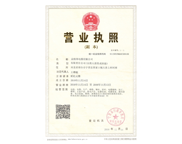 营业执照副本