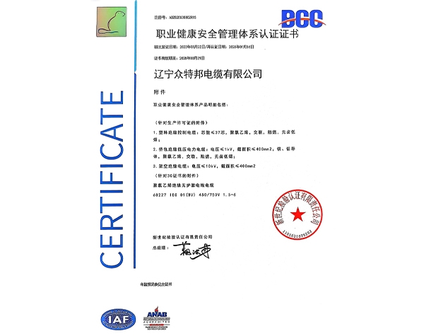 职业健康安全管理体系认证证书