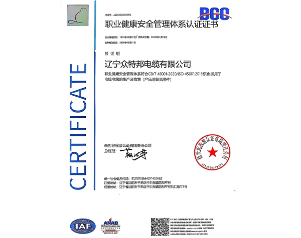 职业健康安全管理体系认证证书